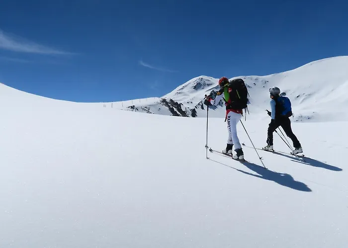 L'auet Erillavall